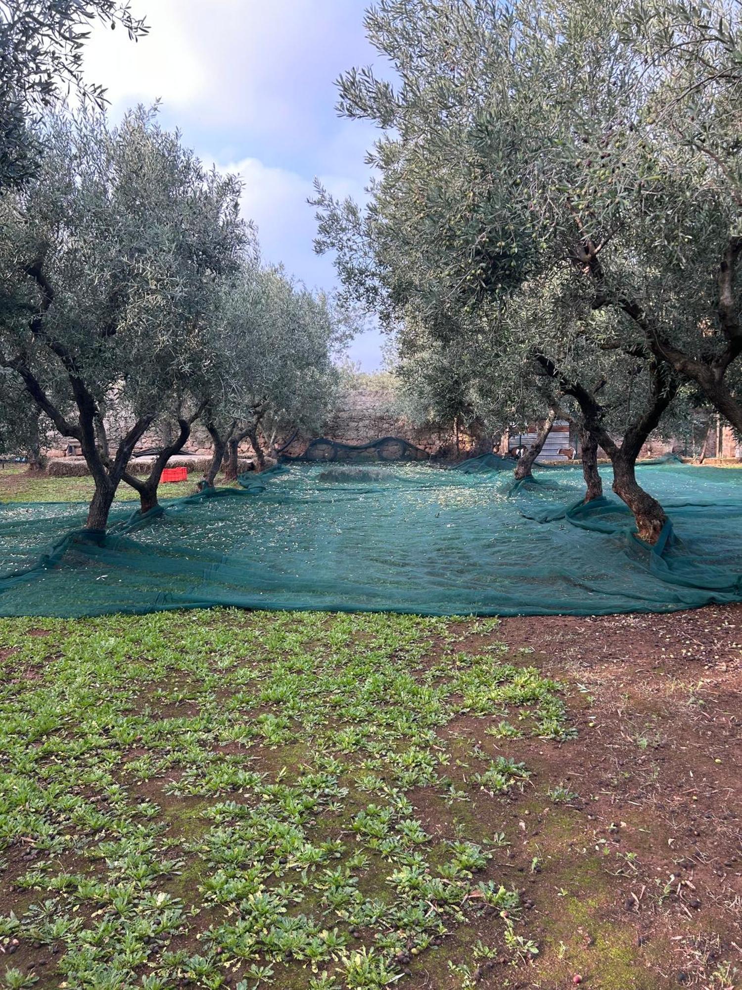 Sorelle Barnaba Country House Monopoli Esterno foto